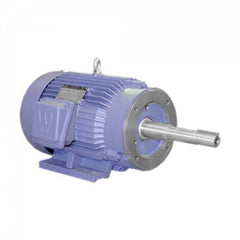 Worldwide Electric - Electric AC/DC Motors Motor Type: Premium Efficient Type of Enclosure: TEFC - A1 Tooling