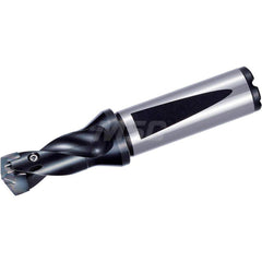 Replaceable Tip Drill: 15 to 15.99 mm Drill Dia, 24 mm Max Depth, 20 mm Flange Shank Seat Size 15, 97 mm OAL, Through Coolant