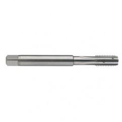 M10 x 1.5 Dia. - 6H - 4 FL - Carbide Semi-Bott Tap - Bright Finish-Coolant-Thru-FORM-C - A1 Tooling