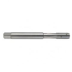 M10 x 1.5 Dia. - 6H - 4 FL - Carbide Semi-Bott Tap - Bright Finish-Coolant-Thru-FORM-C - A1 Tooling