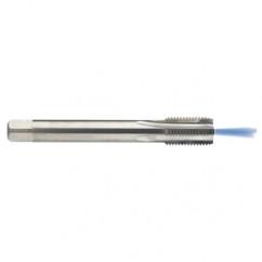 M12 x 1.75 Dia. - 6H - 4 FL - Carbide Semi-Bott Tap - Bright Finish-Coolant-Thru-FORM-C - A1 Tooling