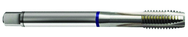 6-40 Dia. - 2B - 3 FL - Cobalt Spiral Point Plug Blue Ring Tap - Bright FORM-B DIN 374 - A1 Tooling