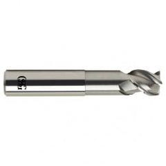 1 Dia. x 6 Overall Length 3-Flute .060 C/R Solid Carbide SE End Mill-Round Shank-Center Cutting-Uncoated - A1 Tooling