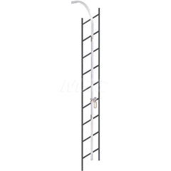 Ladder Safety Systems; System Type: Rail Ladder; Length (Feet): 30.00; Maximum Number Of Users: 1; Overall Length: 30.00