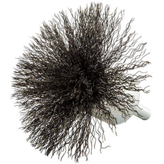 Norton - End Brushes Brush Diameter (Inch): 3 Fill Material: Carbon Steel - A1 Tooling