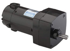 Leeson - 1/15 Max hp, 142 Max RPM, Electric AC DC Motor - 115 V Input, Single Phase, 31 Frame - A1 Tooling