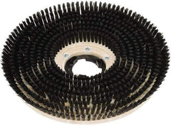 Clarke - 20" Diam Scrubbing Brush - 20" Machine, Black Pad, Polypropylene - A1 Tooling