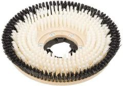 Clarke - 17" Diam Carpet Brush - 17" Machine, Black Pad, Nylon - A1 Tooling