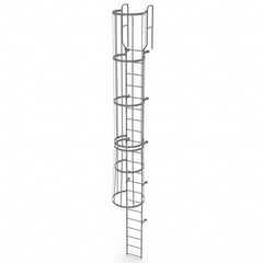 TRI-ARC - Rolling & Wall Mounted Ladders & Platforms Type: Fixed Ladder Style: Safety Cage - A1 Tooling