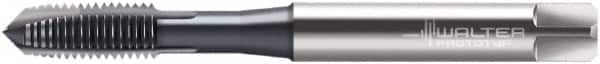 Walter-Prototyp - M2x0.40 Metric, 2 Flute, TiCN Finish, Cobalt Spiral Point Tap - Plug Chamfer, Right Hand Thread, 45mm OAL, 6mm Thread Length, 2.8mm Shank Diam, 6HX Class of Fit, Series M2021306 - Exact Industrial Supply