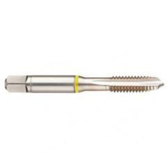 40671 2B 3-Flute Cobalt Yellow Ring Spiral Point Plug Tap-Bright - A1 Tooling