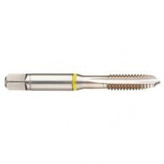 40241 2B 4-Flute Cobalt Yellow Ring Spiral Point Plug Tap-Bright - A1 Tooling