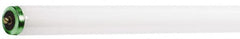 Philips - 56 Watt Fluorescent Tubular Single Pin Lamp - 6,500°K Color Temp, 3,800 Lumens, T12, 12,000 hr Avg Life - A1 Tooling