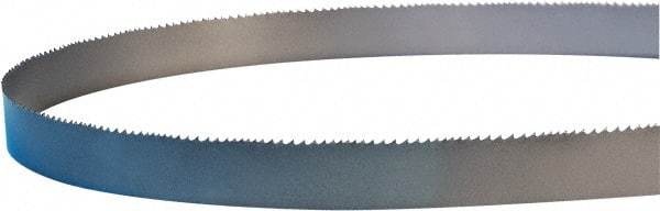 Lenox - 10 to 14 TPI, 7' 4" Long x 3/4" Wide x 0.035" Thick, Welded Band Saw Blade - M42, Bi-Metal, Toothed Edge - A1 Tooling