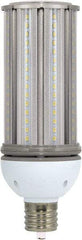 Value Collection - 45 Watt LED Commercial/Industrial Mogul Lamp - 5,000°K Color Temp, 5,400 Lumens, 100, 277 Volts, Ex39, 50,000 hr Avg Life - A1 Tooling