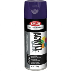 Krylon - Purple, 12 oz Net Fill, Gloss, Aerosol Spray Paint - 15 to 20 Sq Ft per Can, 16 oz Container - A1 Tooling