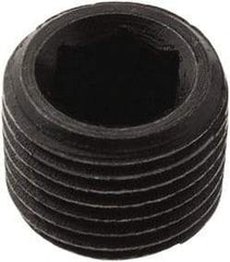 Seco - Coolant Hose Plug - 1/8" Thread, for Use with Jetstream Hoses, 2 Pieces - A1 Tooling