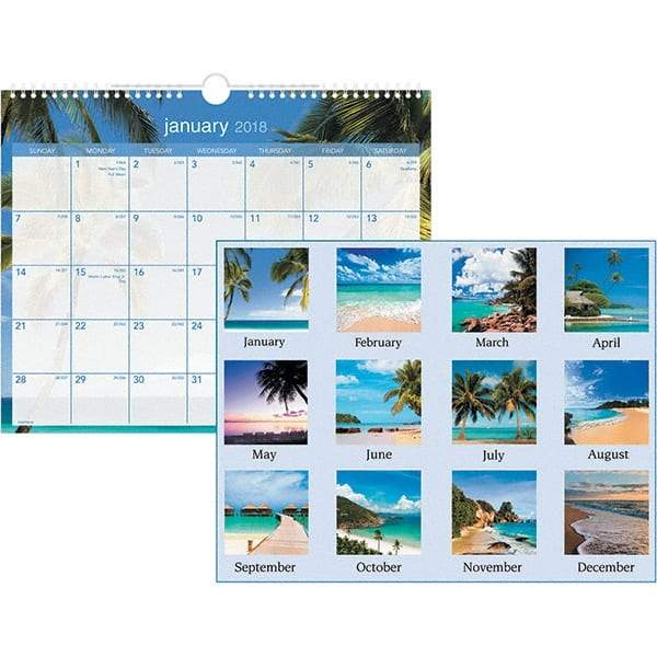 AT-A-GLANCE - 12 Sheet, 15 x 12", Wall Calendar - Tropical - A1 Tooling