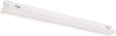 Philips - 48" Long x 3" High, Steel Light Fixture Wire Guard - For Use with PFSI Strips - A1 Tooling