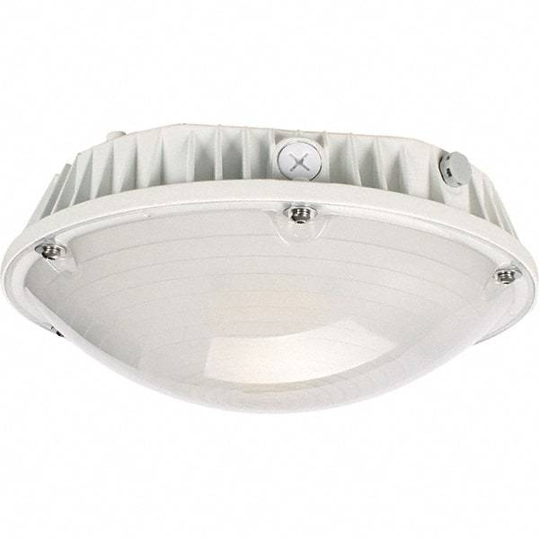 Eiko Global - 60 Watt LED Entry Light - Frosted Polycarbonate Lens, Mogul Base, Pendant & Surface Mount, 120 to 277 Volts, IP65 Ingress Protection, 290mm Long x 114mm High - A1 Tooling