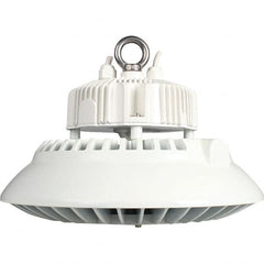 Eiko Global - 1 Lamp, 150 Watts, LED, High Bay Fixture - 11.81" Wide, 120-277 Volt, Steel Housing - A1 Tooling