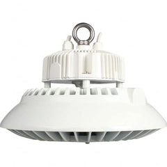 Eiko Global - 1 Lamp, 100 Watts, LED, High Bay Fixture - 11.81" Wide, 120-277 Volt, Steel Housing - A1 Tooling