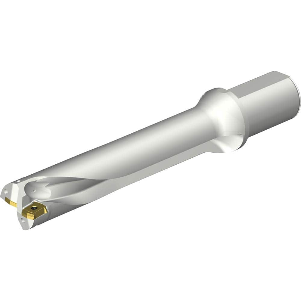 Indexable Insert Drills; Drill Style: DS20; Drill Diameter (mm): 46.00; Maximum Drill Depth (mm): 231.28; Shank Type: Straight-Cylindrical; Shank Diameter (mm): 50.00; Cutting Direction: Right Hand; Maximum Drill Depth Range (mm): 200.00+; Tool Material: