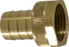 Dixon Valve & Coupling - 3/4 NH Garden Hose Fitting - Brass, Short Shank Female Swivel Connector - A1 Tooling