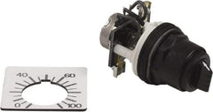 Square D - 2,000 Ohm, 30mm, 300 VAC Potentiometer - 2 Watts, Nonilluminated, Knob Operated, NEMA 4, 13 - A1 Tooling