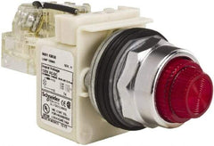 Schneider Electric - 120 VAC Red Lens Indicating Light - Screw Clamp Connector - A1 Tooling