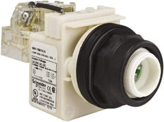 Schneider Electric - 28 V Green Lens LED Pilot Light - Round Lens, Screw Clamp Connector, 54mm OAL x 42mm Wide, Vibration Resistant - A1 Tooling