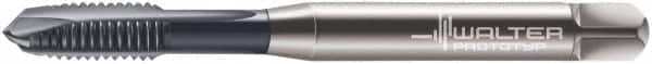 Walter-Prototyp - M6x1.00 Metric, 3 Flute, TiCN Finish, Powdered Metal Spiral Point Tap - Plug Chamfer, Right Hand Thread, 80mm OAL, 15mm Thread Length, 6mm Shank Diam, 6H Class of Fit, Series 7021366 - Exact Industrial Supply