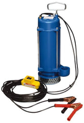 Warren Rupp - 1/3 hp, 12 VDC Amp Rating, 12 VDC Volts, Nonautomatic Operation, Dewatering Pump - Aluminum Housing - A1 Tooling