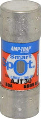 Ferraz Shawmut - 500 VDC, 600 VAC, 30 Amp, Time Delay General Purpose Fuse - Clip Mount, 2-1/4" OAL, 100 at DC, 200 at AC, 300 (Self-Certified) kA Rating, 13/16" Diam - A1 Tooling