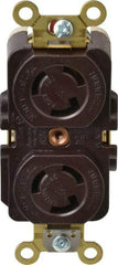 Hubbell Wiring Device-Kellems - 125 VAC, 15 Amp, L5-15R NEMA, Self Grounding Receptacle - 2 Poles, 3 Wire, Female End, Brown - A1 Tooling