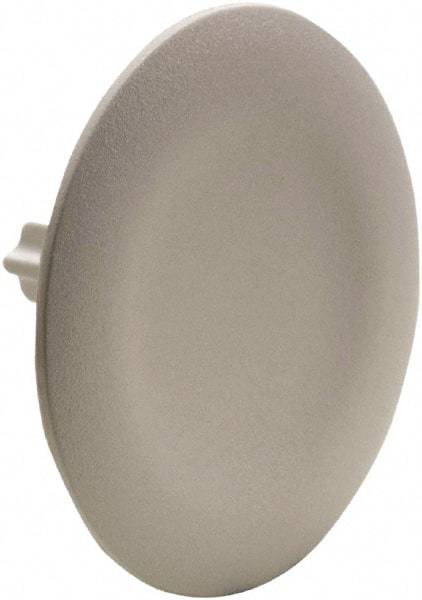 Schneider Electric - Flush Pushbutton Switch Cap - White, Round Button, Nonilluminated - A1 Tooling