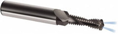 Guhring - M10x1.25 Metric Fine, 0.3465" Cutting Diam, 2 Flute, Solid Carbide Helical Flute Thread Mill - Internal Thread, 26.6mm LOC, 80mm OAL, 12mm Shank Diam - A1 Tooling