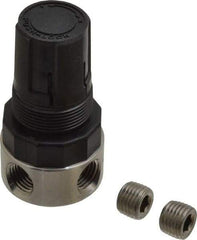 Parker - 1/4 NPT Port, 12 CFM, Stainless Steel Miniature Regulator - 0 to 125 psi Range, 300 Max psi Supply Pressure, 1/4" Gauge Port Thread, 1.56" Wide x 3.06" High - A1 Tooling