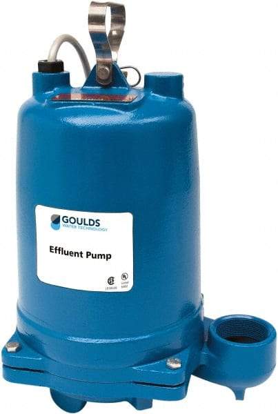 Goulds Pumps - 1 hp, 575 Amp Rating, 575 Volts, Single Speed Continuous Duty Operation, Effluent Pump - 3 Phase, Cast Iron Housing - A1 Tooling