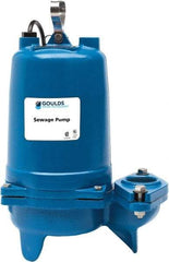 Goulds Pumps - 2 hp, 200 Amp Rating, 200 Volts, Single Speed Continuous Duty Operation, Sewage Pump - 3 Phase, Cast Iron Housing - A1 Tooling