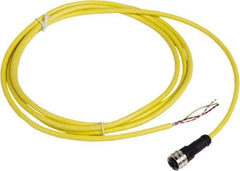 Telemecanique Sensors - 4 Amp, 1/2-20 UNF 3 Pin Female Straight Cordset Sensor and Receptacle - 250 VAC, 300 VDC, 2m Cable Length, IP67 Ingress Rating - A1 Tooling