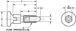 Vlier - 3/8-16, 1/4" Max Plunger Diam, 0.25 Lb Init to 2 Lb Final End Force, Knob Handle Plunger - Delrin Knob, 0.94" Body Length, 3/4" Length Under Head/Shoulder, 0.18" Plunger Projection - A1 Tooling