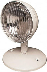 Mule - 1 Head, 12 VDC, Polycarbonate, Incandescent Remote Emergency Lighting Head - 9 Watt, Battery Not Included - A1 Tooling