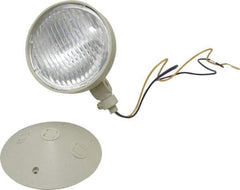 Mule - 1 Head, 12 VDC, Polycarbonate, Incandescent Remote Emergency Lighting Head - 25 Watt, Battery Not Included - A1 Tooling