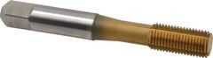 Accupro - 3/8-24 UNF H5 Thread Limit Bottoming Thread Forming Tap - Powdered Metal High Speed Steel, TiN Finish, 2-15/16" OAL - A1 Tooling