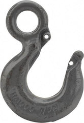 CM - Chain Grade 100, 2,700 Lbs. Load Limit Eye Rigging Hook - 0.93 Inch Hook Throat, 3.13 Inch Reach, 3/4 Inch Eye Inside Diameter, 0.21875 Inch Chain Diameter, 4.37 Inch Overall Length, 0.38 Inch Eye Thickness - A1 Tooling