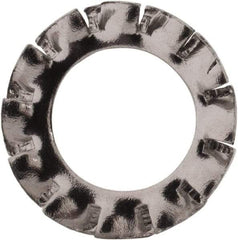 Value Collection - M6 Screw, 6.4mm ID, Stainless Steel External Tooth Lock Washer - 11mm OD, Uncoated, Grade 316 & Austenitic A4 - A1 Tooling