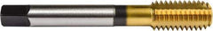 Union Butterfield - 5/16-18 UNC 2B/3B H7 Thread Limit Bottoming Thread Forming Tap - Powdered Metal High Speed Steel, TiN Finish, 2-23/32" OAL, 11/16" Thread Length, Right Hand Thread, Series 1641 - A1 Tooling