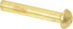 Made in USA - 1/8" Body Diam, Round Brass Solid Rivet - 3/4" Length Under Head - A1 Tooling