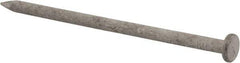 Value Collection - 16D, 8 Gauge, 3-1/2" OAL Common Nails - Ring Shank, Grade 2 Steel, Galvanized Finish - A1 Tooling